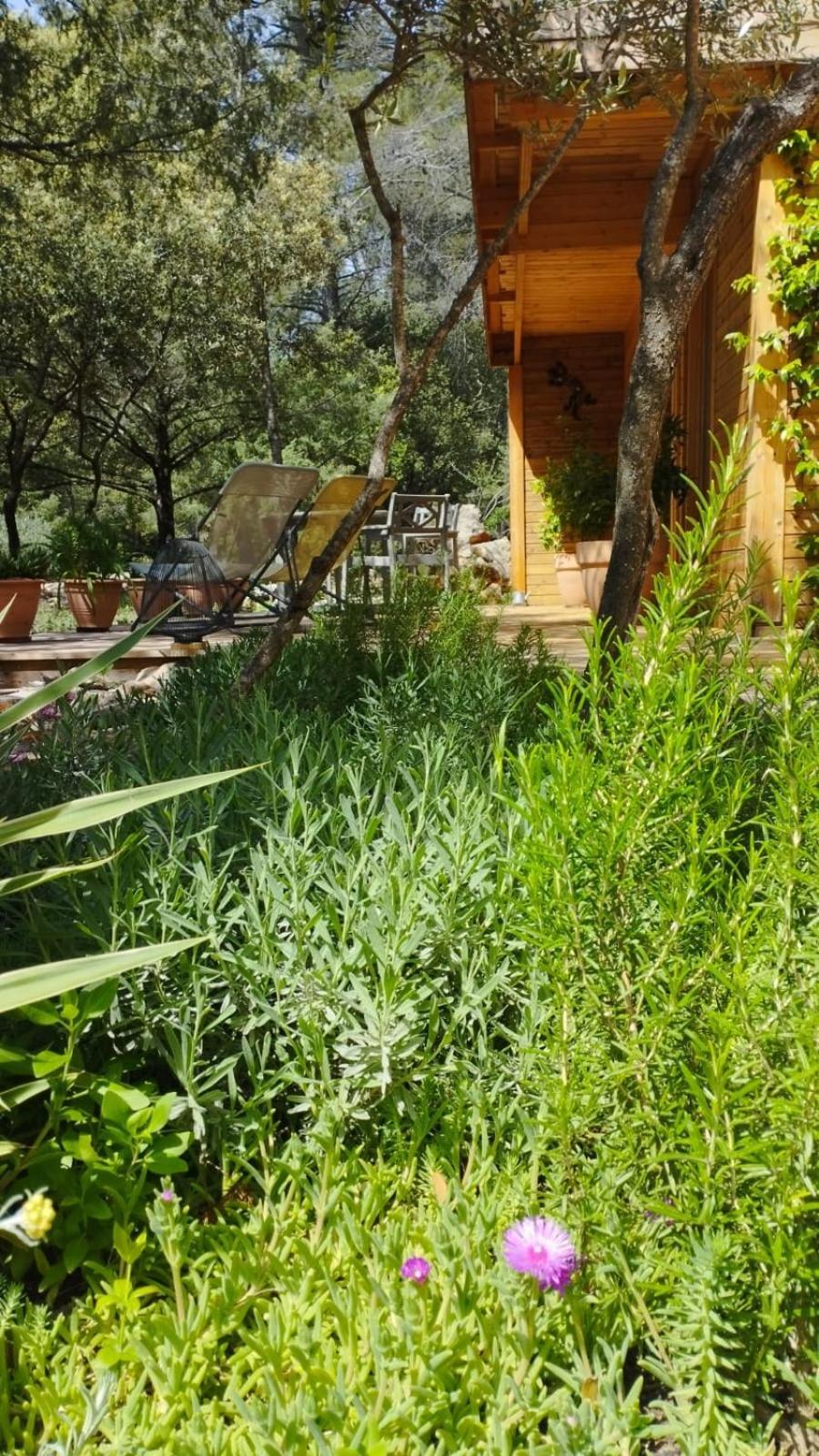 La Bergerie Des Colles Bed & Breakfast Entrecasteaux ภายนอก รูปภาพ
